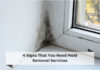 4 Signs That You Need Mold Removal Services