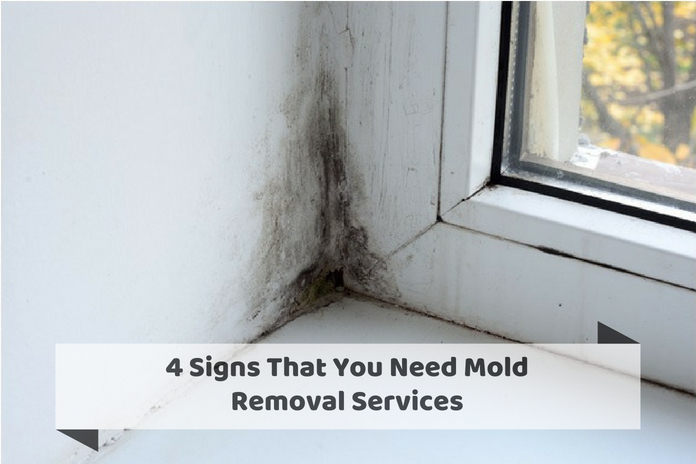 4 Signs That You Need Mold Removal Services