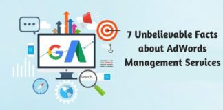 7 Unbelievable Facts about AdWords Management Services