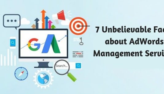 7 Unbelievable Facts about AdWords Management Services
