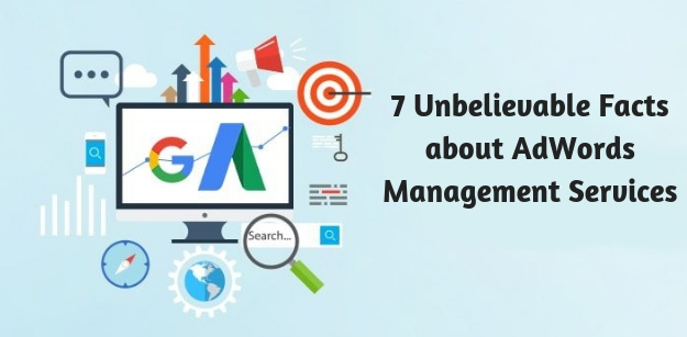 7 Unbelievable Facts about AdWords Management Services