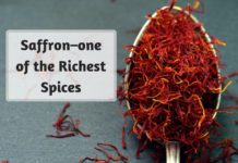 Saffron–one of the Richest Spices