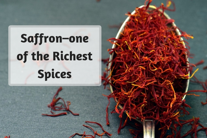 Saffron–one of the Richest Spices