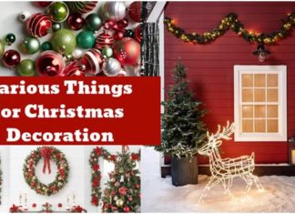 6 Various Things you can use for Christmas decoration