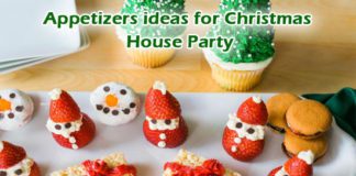 Appetizers ideas for Christmas House Party