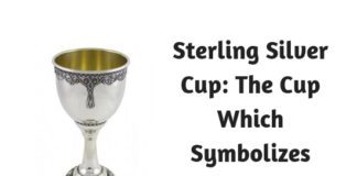 Sterling Silver Cup- The Cup Which Symbolizes Holiness