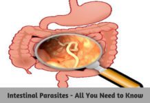 Intestinal Parasites - All You Need to Know