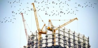 Top 5 Pro Tips for Hiring the Right Crane Hire Services