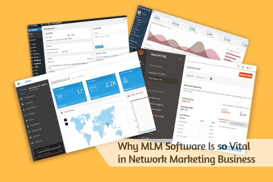 Why MLM Software Is so Vital in Network Marketing Business