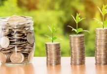 5 Reasons Your Business Should Take a Loan