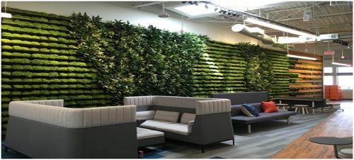 Biophilic Design