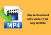 How to Download MP4 Videos from Any Website