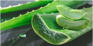 Aloe Vera gel