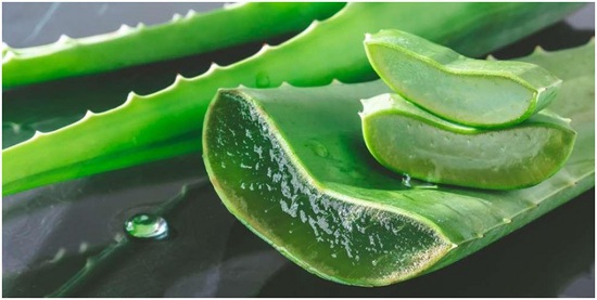 Aloe Vera gel