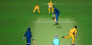 6 Secret Tips for Success in Dream 11 Fantasy Cricket Online