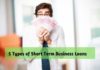 5 Types of Short Term Business Loans