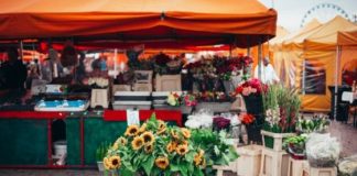 Why Do Businesses Require to Use Custom Canopies