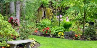 Tips for Newbies - How to Make the Most of Your Garden