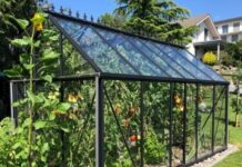 How to Have a Small Apartment Greenhouse?