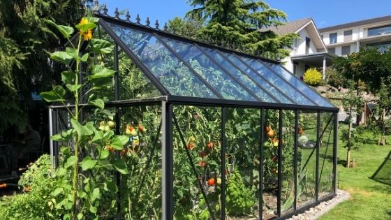 How to Have a Small Apartment Greenhouse?