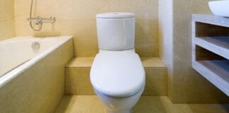 Sanitary Ware: Tips for finding the best water closet for bathroom