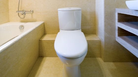 Sanitary Ware: Tips for finding the best water closet for bathroom