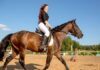 Finding The Right Online Equestrian Clothing And Boot Brands To Suit Your Style