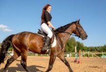 Finding The Right Online Equestrian Clothing And Boot Brands To Suit Your Style