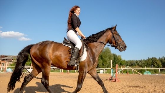 Finding The Right Online Equestrian Clothing And Boot Brands To Suit Your Style