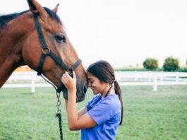 Stages of Laminitis Attacking Horses