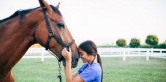 Stages of Laminitis Attacking Horses