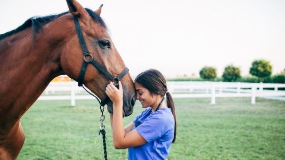 Stages of Laminitis Attacking Horses