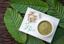 How Kratom for Pain Helps Bloggers