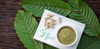 How Kratom for Pain Helps Bloggers