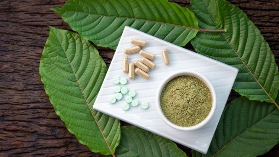 How Kratom for Pain Helps Bloggers