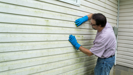 How to Clean Vinyl Siding The Right Way