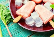 Why Vegan Ice Cream is Becoming the New Favourite Of Everyone