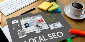 How to Dominate Local SEO for Your Pest Control Business