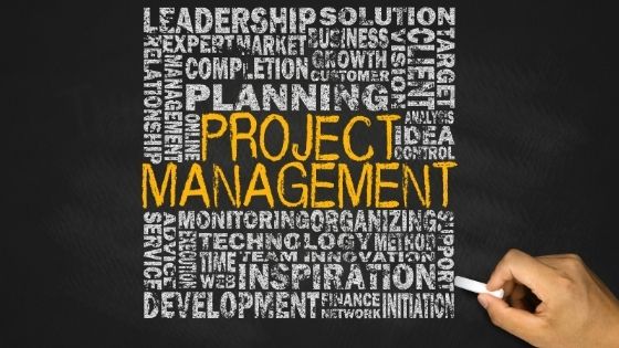 PRINCE2 Project Management and Capitalism