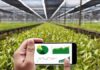Farm Management Solution for Moving Agriculture to a Digital Platform
