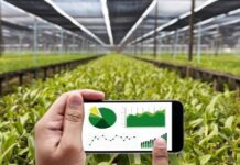 Farm Management Solution for Moving Agriculture to a Digital Platform