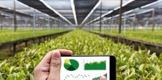 Farm Management Solution for Moving Agriculture to a Digital Platform
