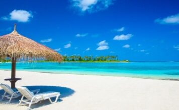 Frequent Picnics to the Beach Make Your Brain Healthier