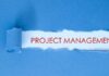 Project Management and PRINCE2 Techniques