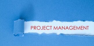 Project Management and PRINCE2 Techniques