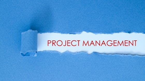 Project Management and PRINCE2 Techniques