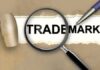 Top 3 Trademark Infringement Cases to Learn From