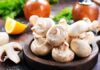 Top 5 Supplies to Cultivate Tasty & Healthy Mushrooms