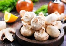 Top 5 Supplies to Cultivate Tasty & Healthy Mushrooms