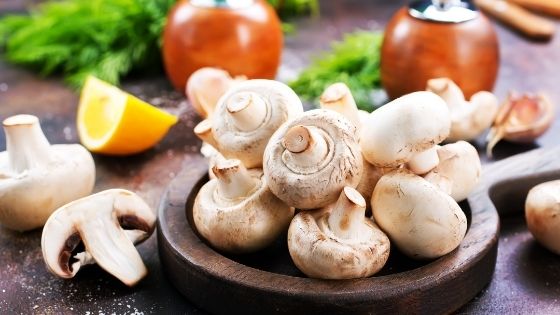 Top 5 Supplies to Cultivate Tasty & Healthy Mushrooms